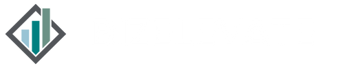 BizElevate